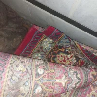 فرش و کابینت|فرش|زاهدان, |دیوار