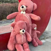 خرس شاسخین ولنتاین تولیدی