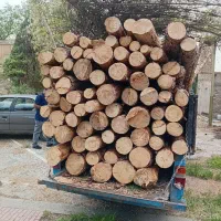 خرید چوب/درخت/قطع وبرش/هرس/حرس