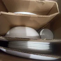 یه سرویس آرکوپال مارک دینو