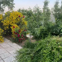 گلخانه-آماده-سالن-برعکس-در-نجم-آباد