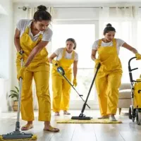 خدمات تمیزکاری منزل و باغ و ویلا