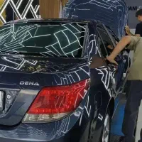 دنا معمولی تیپ ۲، مدل ۱۳۹۴