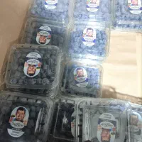 بلوبری حراج ۱۸۰