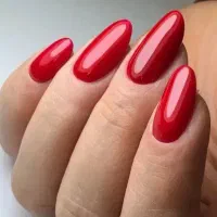 تخفیف ویژه یلدا