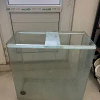 اکواریوم شرکتی شیشه خم