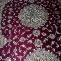 قالی|فرش|اهواز, کوی پلیس|دیوار