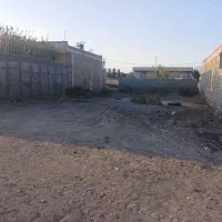 ۱۲قصب زمین فروشی راین