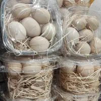 تخم مرغ محلی