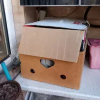 ۵ تا کارتن خارجی و کلی مشما حبابی برای اثاث کشی