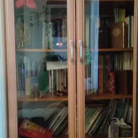 کمد کتابخانه|کتابخانه، شلف، قفسه‌های دیواری|کرج, شهرک خاتم النبیا|دیوار