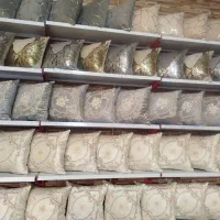 کوسن نقد و اقساط