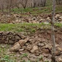 زمین ۲۵۰ متر قابل ساخت ویو دار دنج دربندسر فشم