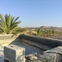 زمین کشاورزی و باغ و گله دانی بیدو|فروش زمین و ملک کلنگی|ریز, |دیوار
