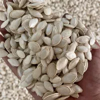تفت و شورکاری،خرید و فروش خشکبار خام و شور|عمده‌فروشی|شیراز, شهرک گلها|دیوار