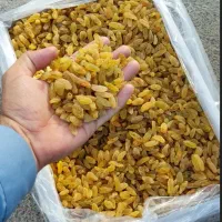مرکز فروش کشمش آبگیری،کشمش سبز و طلایی،شیره انگور|خوردنی و آشامیدنی|تهران, شهران جنوبی|دیوار