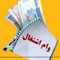 وام ۳۵۰ میلیونی مشاغل خانگی