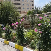 خانه استخردار    دوخوابه ۱۵۰متری حیاط باغ|اجارهٔ کوتاه‌مدت ویلا و باغ|سرعین, |دیوار