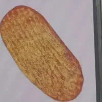 فروش جواز بربری در خود زنجان میباشد