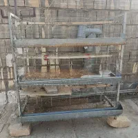 قفس بلدرچین