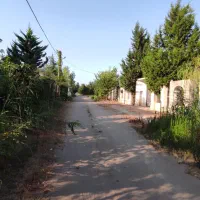 زمین-مسکونی-دارای-پروانه-نزدیک-و-جنگل-کاج-و-ساحل