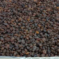 کشمش پلویی با قیمت مناسب|خوردنی و آشامیدنی|آذرشهر, |دیوار