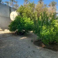 اجاره باغچه باغ زیبا،با درختان بزرگ|اجارهٔ خانه و ویلا|جهرم, |دیوار