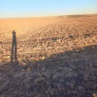 زمین زراعی مناسب دامداری و انباری|فروش دفتر صنعتی، کشاورزی، تجاری|ارشق, |دیوار