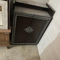 جاکفشی سالم