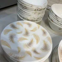 ۲دست آرکوپال بنام پارس اوپال