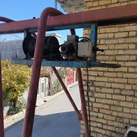 بالابرساختمانی 300کیلویی|ماشین‌آلات صنعتی|یاسوج, |دیوار