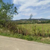 زمین شفت روستا بیجار سر|فروش زمین و ملک کلنگی|رشت, سلیمانداراب|دیوار