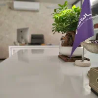 طراح گرافیست خانم