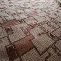 موکت تمیز در حد