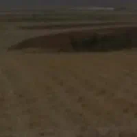 زمین-کشاورزی5000متری-مزرعه-نو