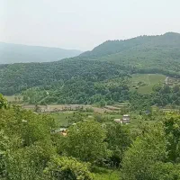 فروش-زمین-باویو-بی-نظیر-لب-اسفالت