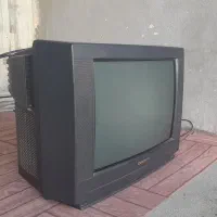 تلویزیون