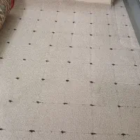 پالازموکت کرم رنگ