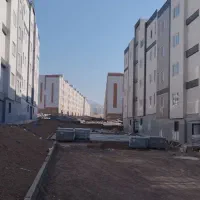 به تعدادی نقاش ماهر نیازمندیم