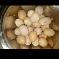 تخم مرغ محلی