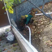 خانم منظم جهت آشپزی وامور منزل