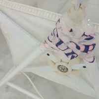 نی نی تاب|تخت و صندلی بچه|لاهیجان, بازکیاگوراب|دیوار