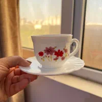 فنجان آرکوپال لومینارک اصل فرانسه