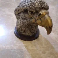 کله عقاب