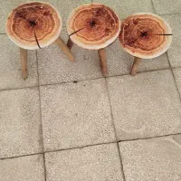 زیر گلدانی|صندلی و نیمکت|سبزوار, قاضی زاد|دیوار