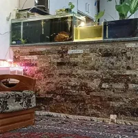 اکواریوم