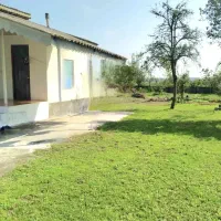 خانه-و-شالیزار-به-متراژ-10500-بر-اسفالت-روستایی