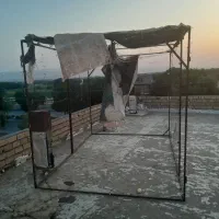 کبوتر قفس|پرنده|الشتر, |دیوار