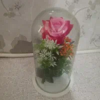 باکس گل نو|گل مصنوعی|قم, شهر قائم|دیوار