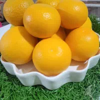 میوه کاملا ارگانیک با بهترین کیفیت|خوردنی و آشامیدنی|لیکک, |دیوار